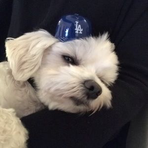 Meet your Posher, Natalia